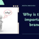Why is the logo important for branding